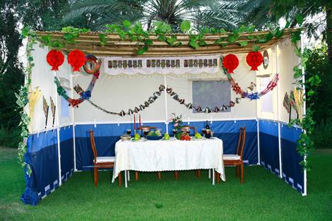 Why Is the Sukkah Covered With Plant Material (Schach)? 